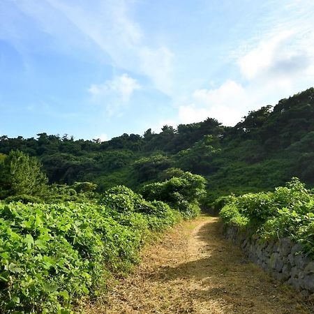 Hidden Cliff Hotel And Nature Seogwipo Ngoại thất bức ảnh